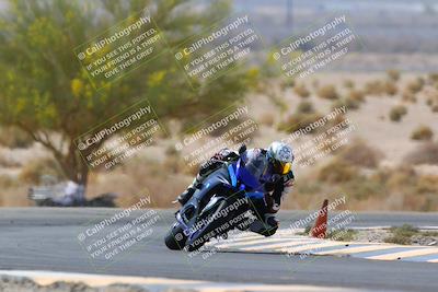 media/Apr-10-2022-SoCal Trackdays (Sun) [[f104b12566]]/Turn 5 Tree of Life (1040am)/